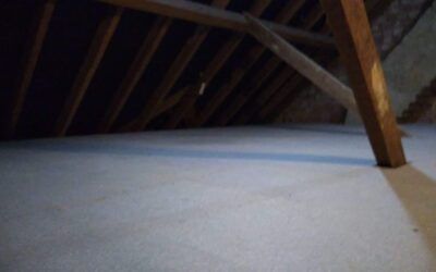 Another loft reclaimed