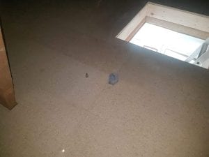 Uxbridge loft transformation